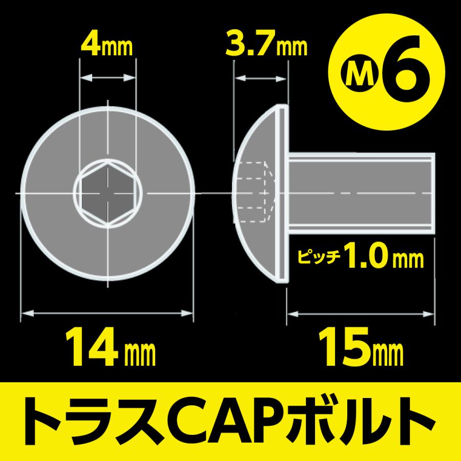 ステンレス 六角穴付 トラスキャップ ボルト M6 x 長さ15mm 2本入
