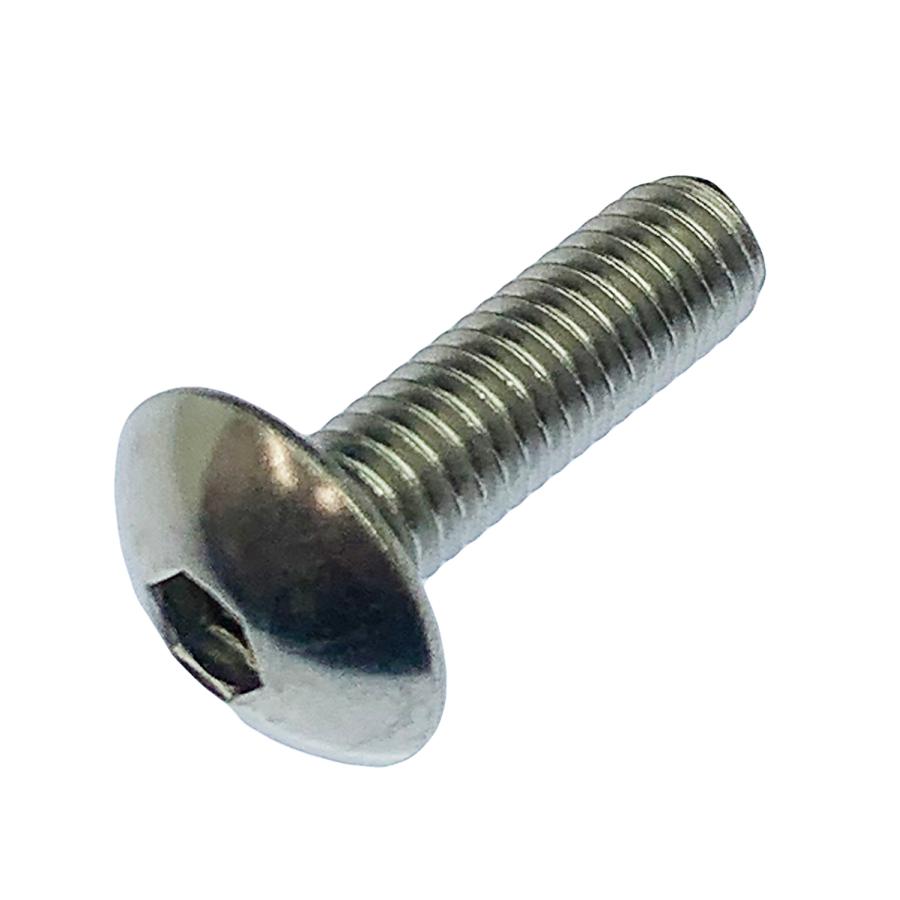 ステンレス 六角穴付 トラスキャップ ボルト M6 x 長さ20mm 2本入