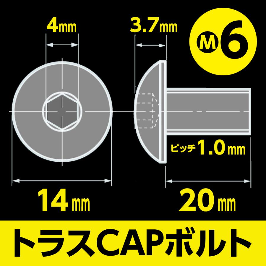 ステンレス 六角穴付 トラスキャップ ボルト M6 x 長さ20mm 2本入