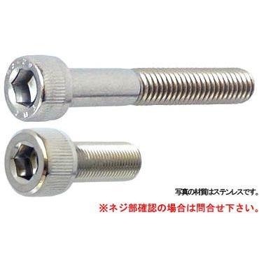 ＣＡＰ（細目 20 X 75 鉄 生地