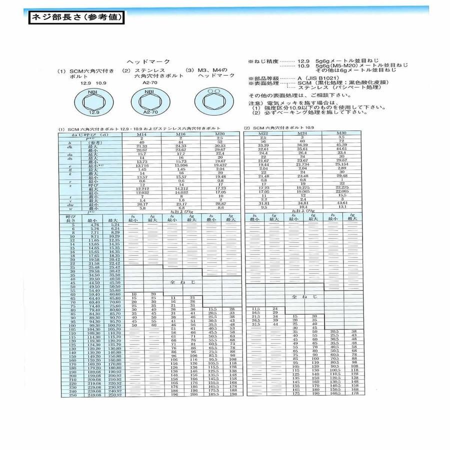 キャップボルト（NBI（日本鋲螺 三価ホワイト 鉄 5 X 30 【パック