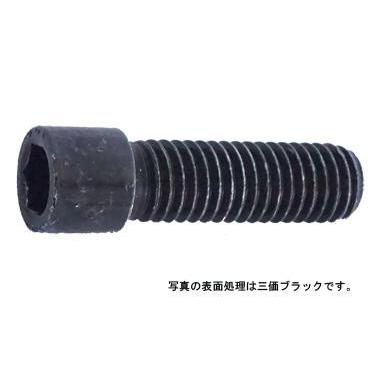10 X 35 鉄 三価ブラック 【スズコバルト】 【100本】