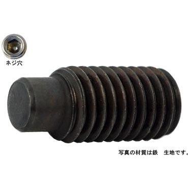 ＨＳ（棒先 16 X 40 鉄 三価ホワイト 