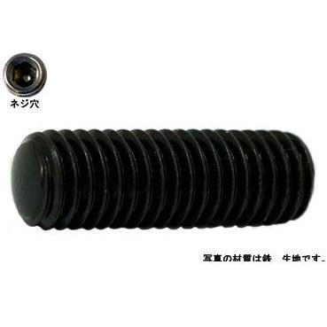 ＨＳ（丸先 10 X 30 鉄 生地