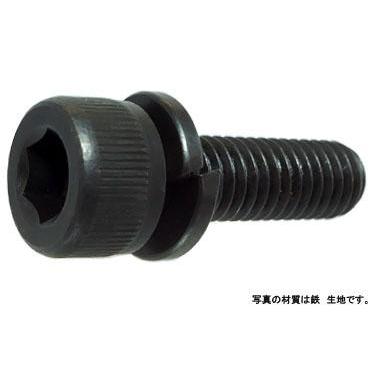 ＣＡＰ　Ｐ＝２ 4 X 10 鉄 三価ホワイト