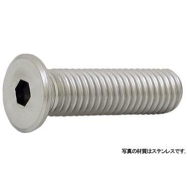 極低頭ＣＡＰ　 5 X 20　鉄　三価ブラック