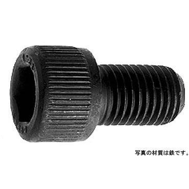 ＣＡＰ（その他細目 12 X 50 ステンレス 生地