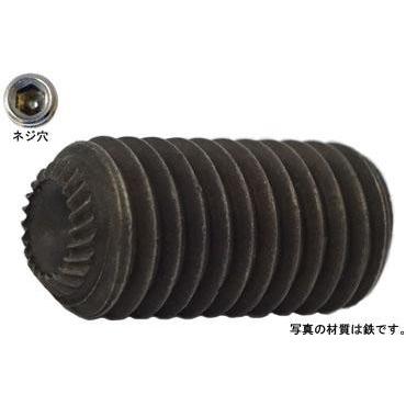 ＨＳ（ギザスクリュー 6 X 6 ステンレス 生地