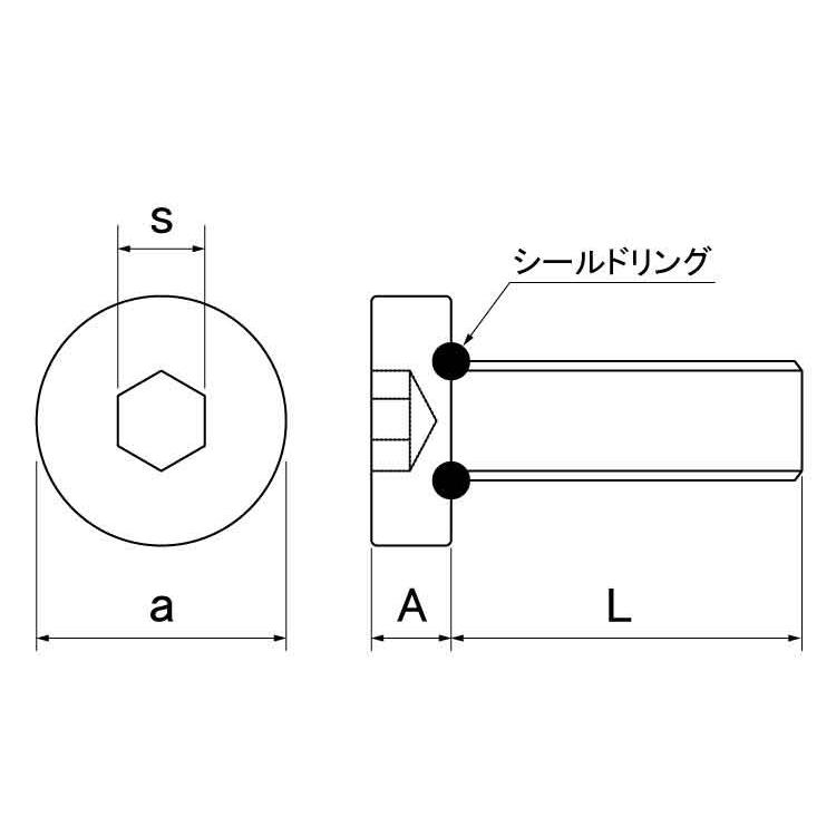 シールキャップボルト（大丸鋲螺 生地 ステンレス 5 X 10 【パック商品 