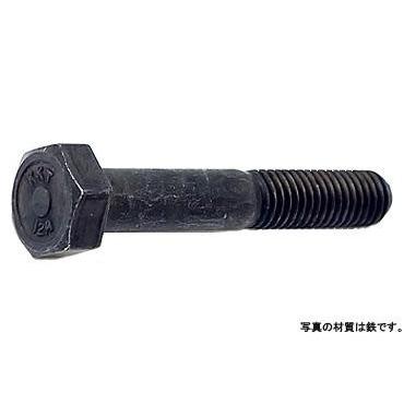 １２．９　六角ボルト　 12X55　鉄　ダクロ