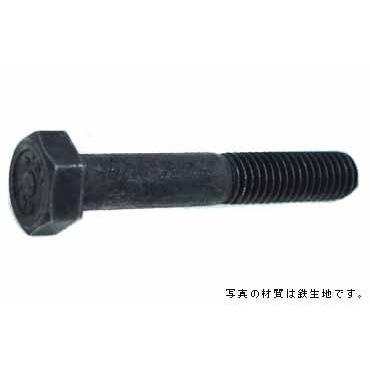 １０．９　六角ボルト 48X170 鉄 生地