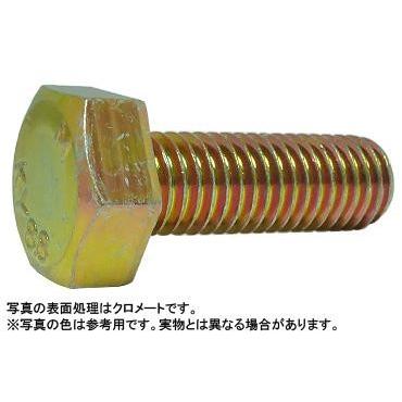８．８　六角ボルト（協栄　 20X55　鉄　生地　【70本入】 【グリーンクロメート】