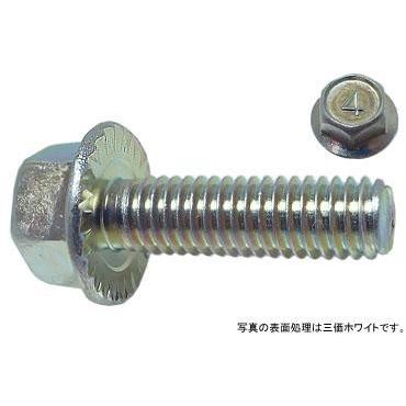 （４）フランジボルト（セレ−ト付 8 X 20 鉄 三価ホワイト