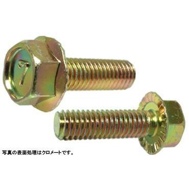 （７）フランジボルト（セレ−ト付 8 X 20 鉄 クロメート