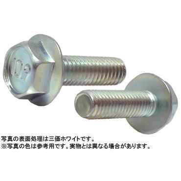１０．９フランジボルト（２種　 6 X 16　鉄　三価ホワイト