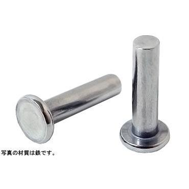 薄平リベット 12 X 30 鉄 生地 【80本】 : ネジクル - 通販 薄平リベット 12 X 30 鉄 生地 【80本】 : ネジクル - 通販