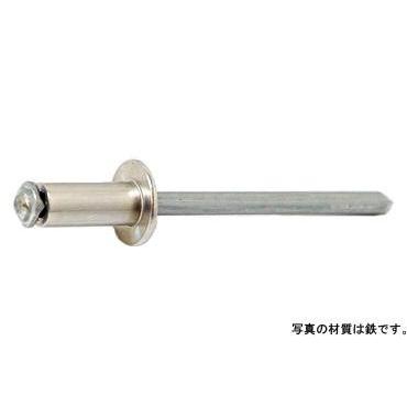 ＴＡＰＤ＊＊ＳＷ（丸頭　ピール　アルミ−鉄）66SW  【1000本】