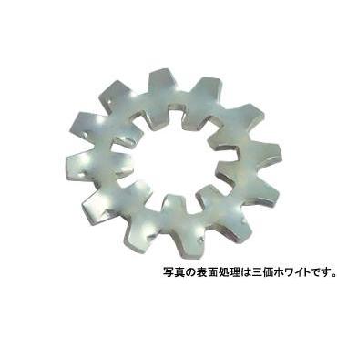 激レア材！シャチの歯 激レア材！シャチの歯