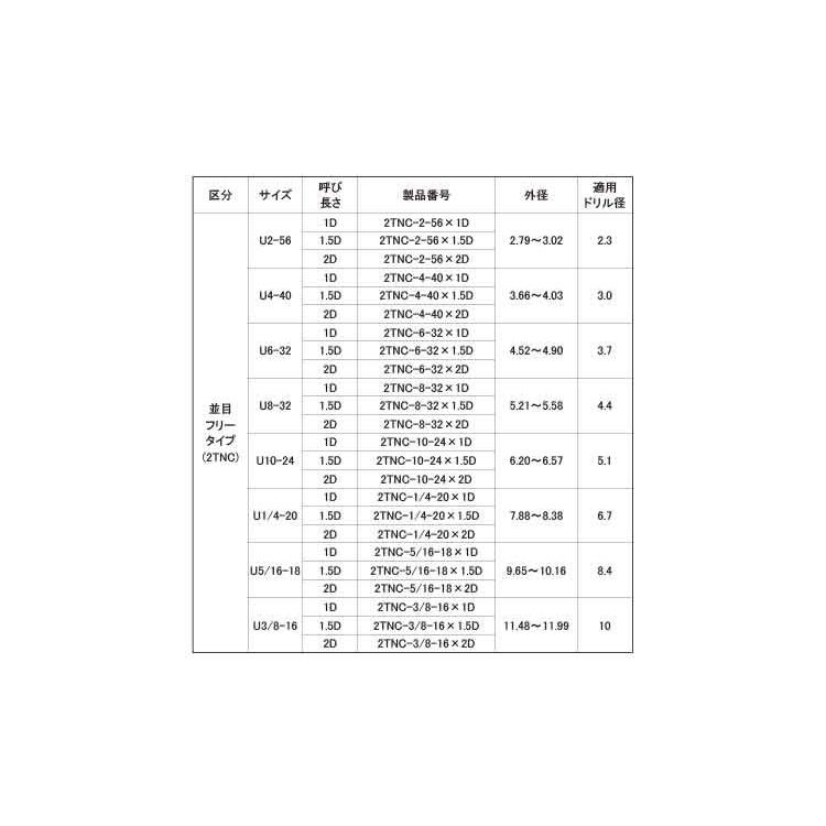 タングレスインサート　２ＴＮＣ　#6X32-2D　ステンレス　生地