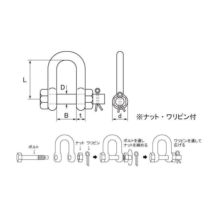 ＳＢＭシャックル　SBM-10　ステンレス　生地