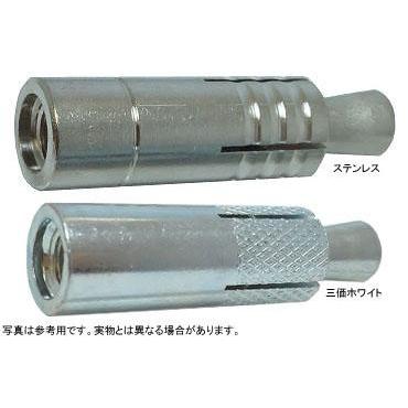 グリップアンカー（ＧＡ SGA-22M ステンレス 生地