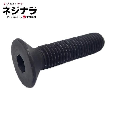 NOGA Carmexねじ切り用チップ ユニファイねじ用 チップサイズ11 NOGA Carmexねじ切り用チップ ユニファイねじ用 チップサイズ11
