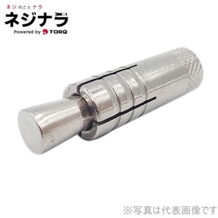 ネジナラ プラグアンカー(カットアンカー) ステンレス 1/2 お徳用