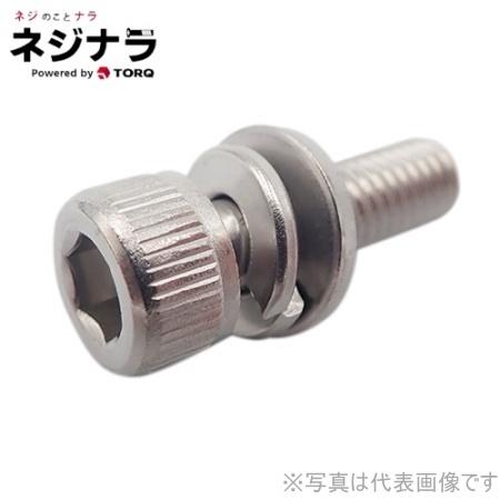 ネジナラ　キャップセムスP=3　ステンレス　M2.6×10　お徳用パック(1000個入)