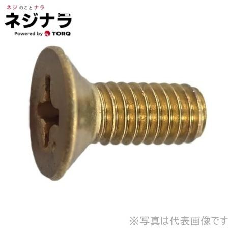 ネジナラ 皿ビス(-) ドブ M16×30 (50個入) - 材料、部品