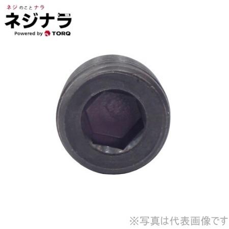 六角穴付プラグ沈みSP4 パーカー 1/4 お徳用パック(250個入) 【ピ】