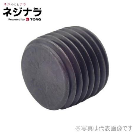六角穴付プラグ沈みSP4 パーカー 1/4 お徳用パック(250個入) 【ピ】