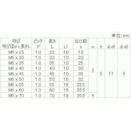 鉄 JCB-A(プラマイ) M6x40 ニッケル 【200個入】｜nejinejikun｜03