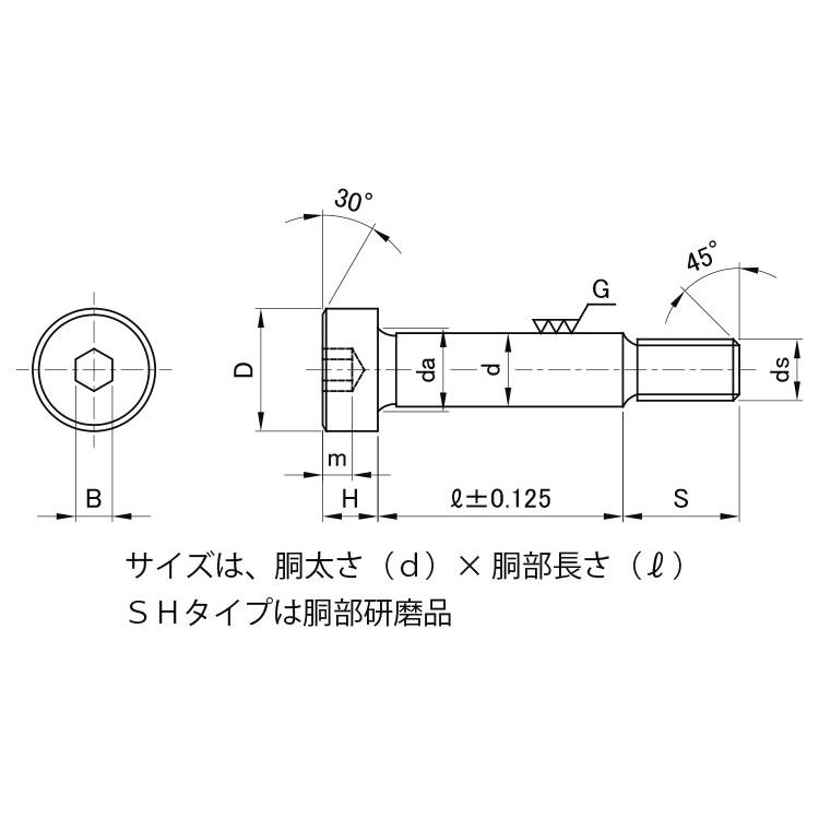 ＧＯＳＨＯショルダーＢＴ（ＳＨGOSHOショルダーBT(SH　12　X　20　標準(または鉄)　生地(または標準)