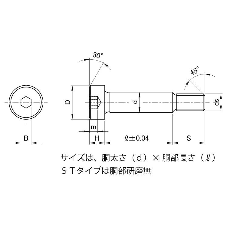 ＧＯＳＨＯショルダーＢＴ（ＳＴGOSHOショルダーBT(ST　X　20　標準(または鉄)　生地(または標準)