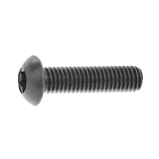 受賞店舗 ｔｏｒｘ ボタンｃａｐ 1000個 Torx ボタンcap 4 X 10 鉄 または標準 ニッケル 爆売り Www Muslimaidusa Org