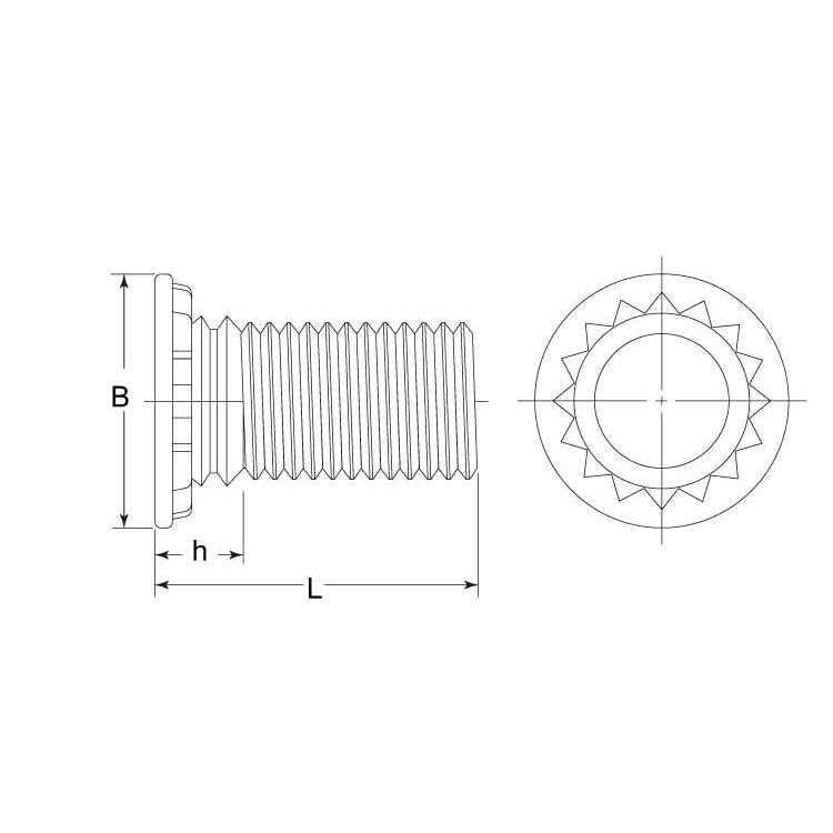 セルスタッド　（ＳＴ【3個】SUSセルスタッド STS-M8-22 ステンレス(303、304、XM7等)/生地(または標準)｜nejinetshop｜03