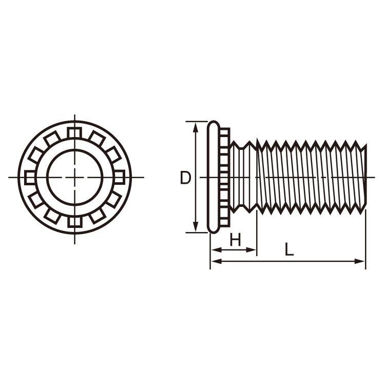 クリンチングスタッド（ボーセイ【6個】SUS クリンチングスタッド THS-M4-10 ステンレス(303、304、XM7等)/生地(または標準)｜nejinetshop｜03