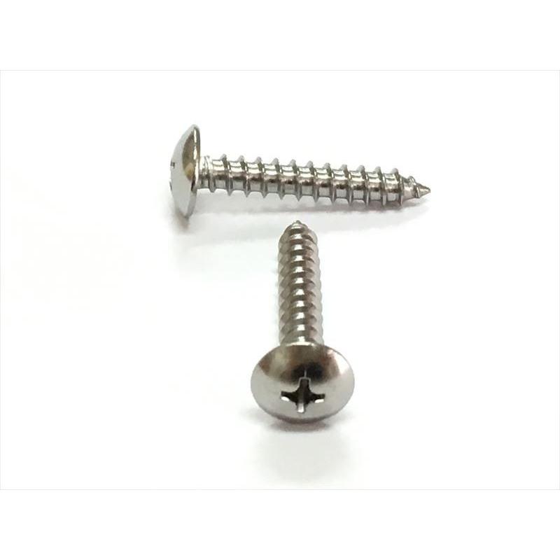 小ねじ　タッピングビス　多数有ります　ばら売り可！（その１） ステンレス トラス タッピングビス M4×20mm （10本単位） バラ売り SUS