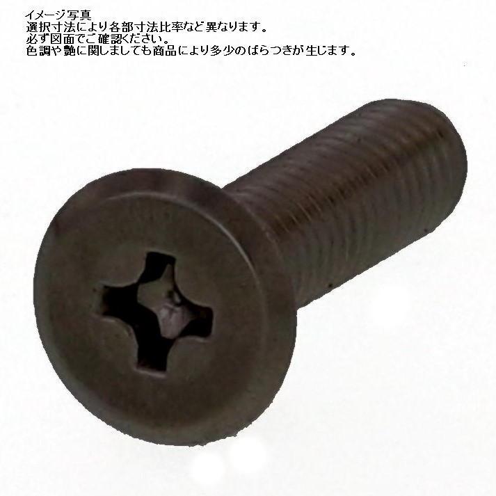M6 X 6L ブラックステン(+)スリムヘッド小ネジ (頭 径10-厚み1.2