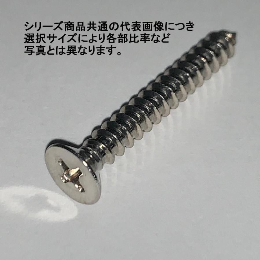 4 X 25 ステンA皿タッピング(L寸は全長表記です) : ねじ各種とリコイル