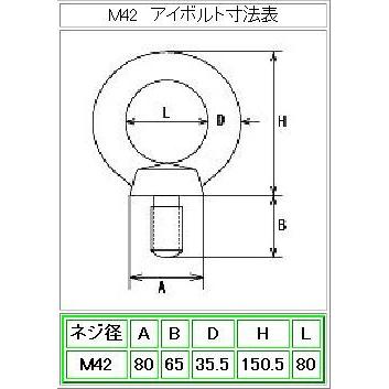 (標準型)埋込アイボルトセットM42｜nejiya-jp｜02