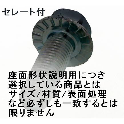 M10X 25L (P=1.25) 黒メッキ 7マークフランジボルト2種 強い!黒い!さび