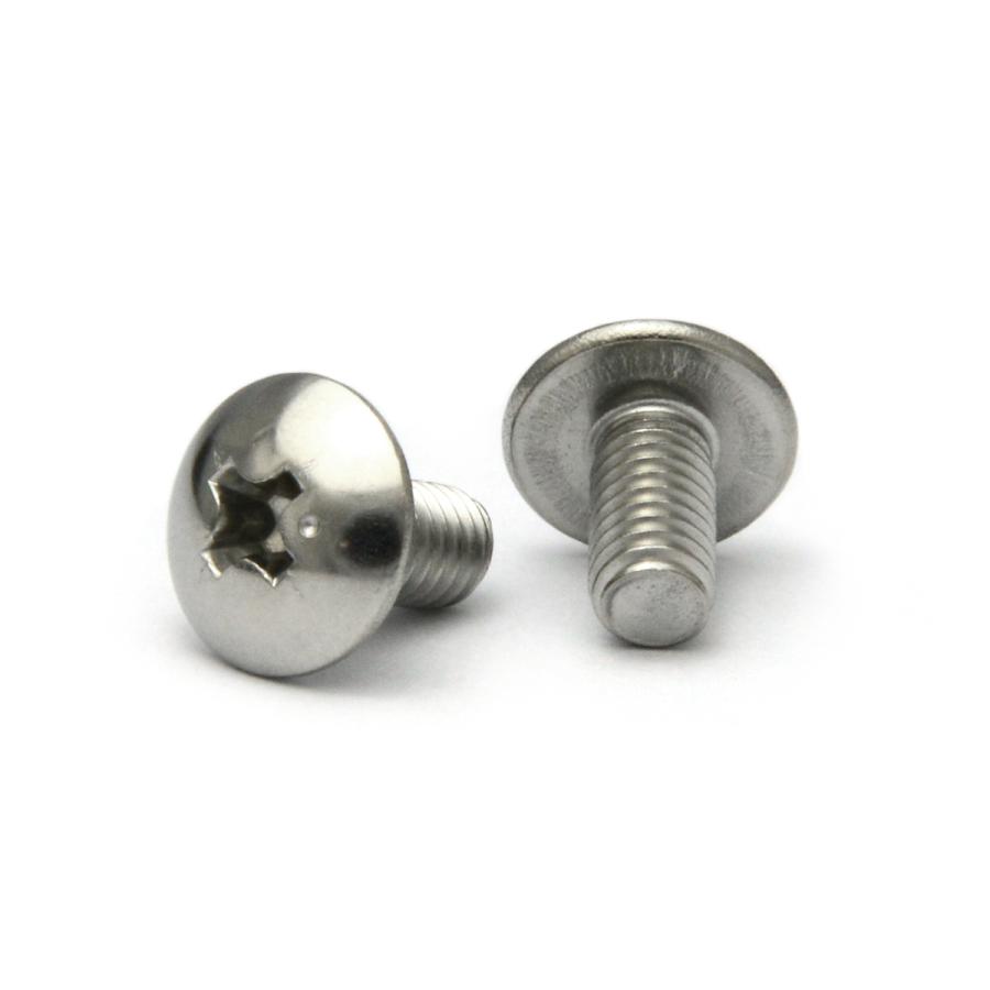 ステンレス (+) トラス小ねじ M5 (太さ=5mm)×長さ=45mm 【 バラ ステンレス (+) トラス小ねじ M5 (太さ=5mm)×長さ=45mm 【 バラ