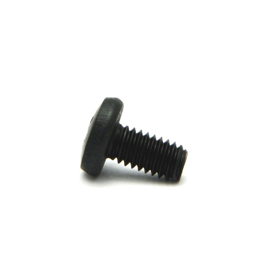 高い品質ステンレス(黒染め) バインド小ねじ M4 (太さ=4mm)×長さ=6mm