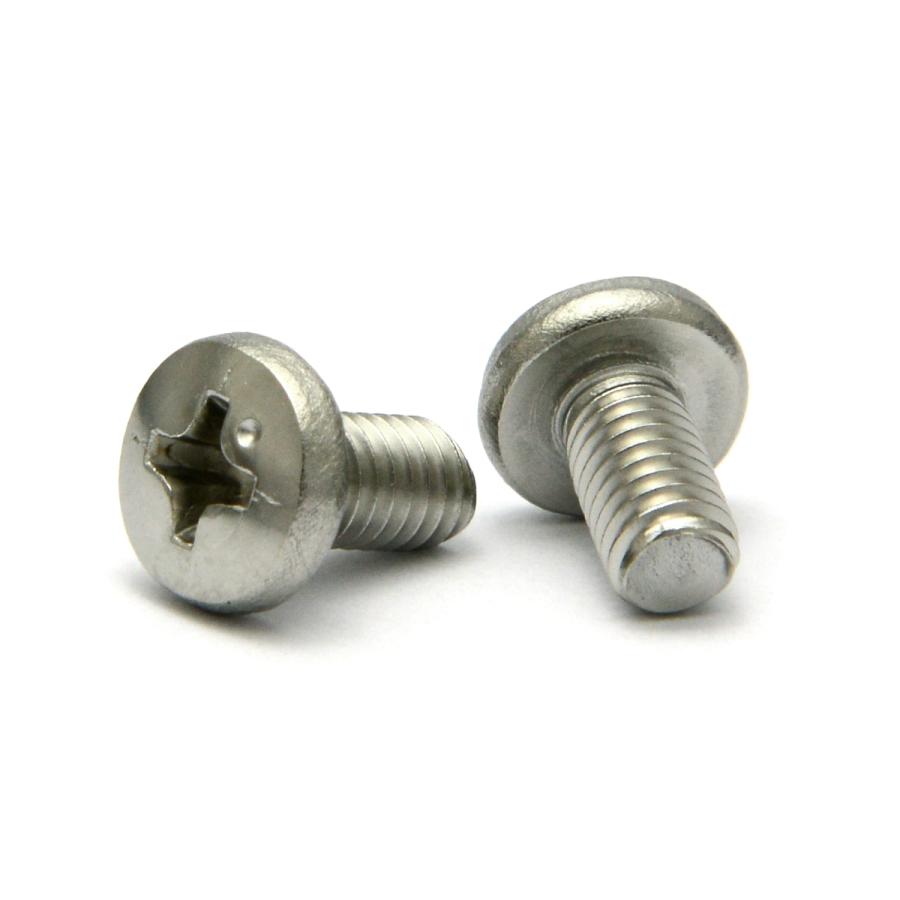 ステンレス (+) バインド小ねじ M5 (太さ=5mm)×長さ=8mm 【 バラ売り