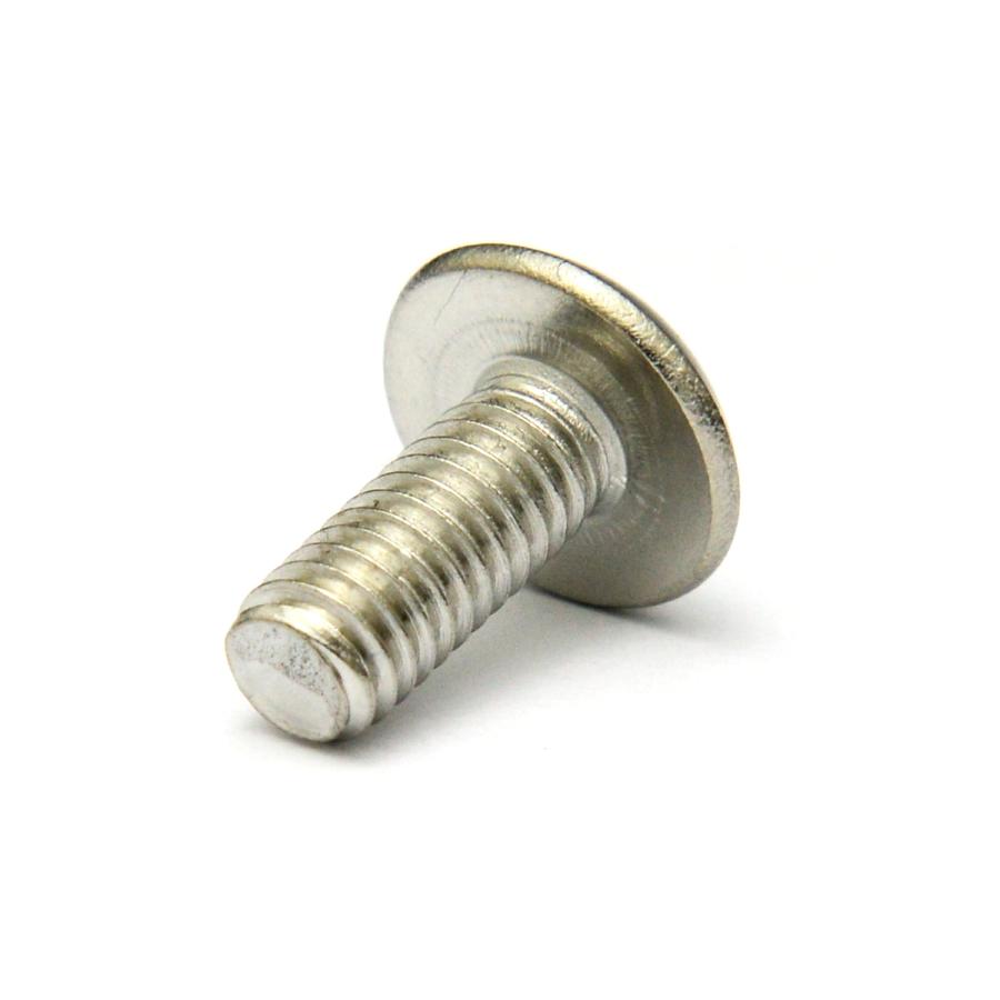 ステンレス (トルクス) トラス小ねじ M5 (太さ=5mm)×長さ=12mm 【 バラ売り : 10本入り 】 :0002t0030050012000-b:ネジのトミモリ - 通販 - Yahoo!ショッピング ステンレス (トルクス) トラス小ねじ M5 (太さ=5mm)×長さ=12mm 【 バラ売り : 10本入り 】 :0002t0030050012000-b:ネジのトミモリ - 通販 - Yahoo!ショッピング