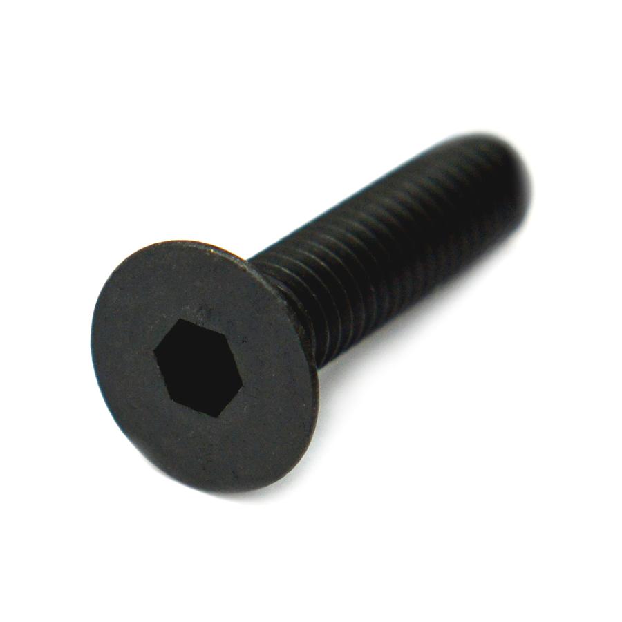 国内外の人気が集結 ステンレス 黒染め サラキャップ 全ねじ M10 太さ 10mm 長さ 15mm バラ売り 2本入り Dprd Jatimprov Go Id