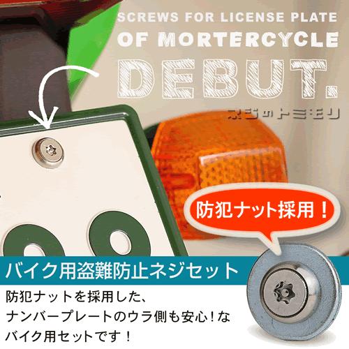 バイク用ナンバープレート防犯ネジセット ［ 防犯ナット(ツー