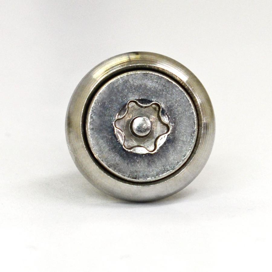 ナンバープレート用ボルト ピン・トルクスサラ ステンレス(シルバー) 3