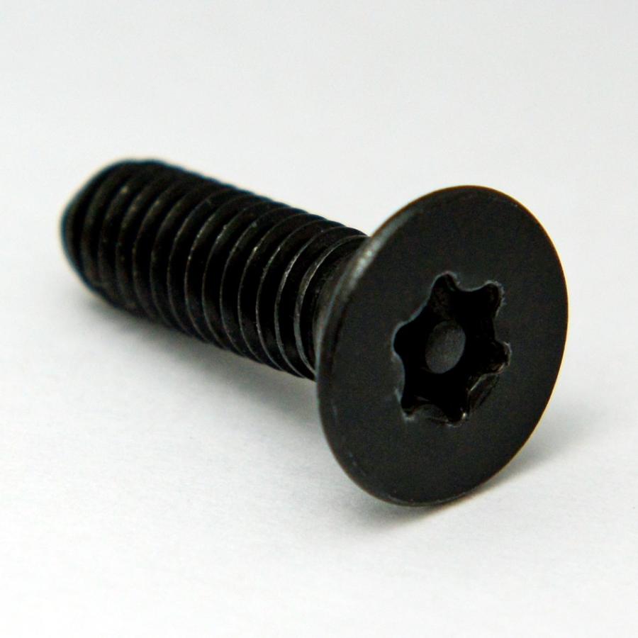 ナンバープレート用ボルト ピン・トルクスサラ ステンレス(ブラック) 4